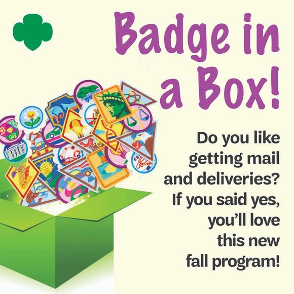 Girl Scout Patch Pack Collectors Badge in a Box Kit Business Wiz Program - Picture 2 of 16